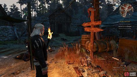 witcher 3 trottheim